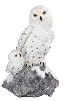 View Owl Snow with Baby