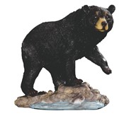 View Bear Fishing