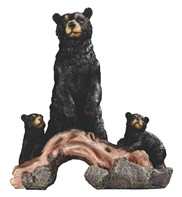 View Bear Crossing Bridge