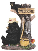View Bear with Racoon