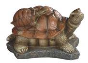 View Tortoise with Baby