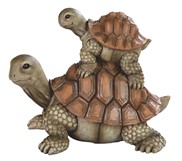 View Tortoise with Baby