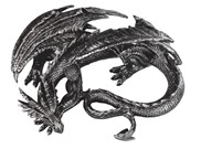 View Dragon