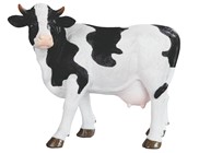 View Cow