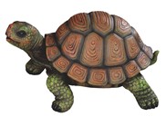 View Tortoise