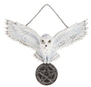 View Snow Owl Wall Décor