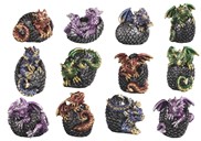 View Mini Dragon Set