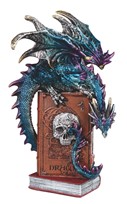 View Dragon on a Skull Book