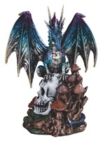 View Dragon on a Skull