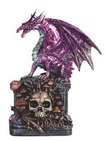 View Dragon on a Skull
