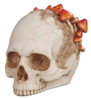 View Skull with Mushroom