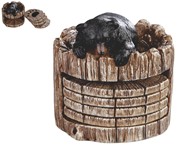 View Bear Coaster