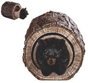 View Bear Trinket Box
