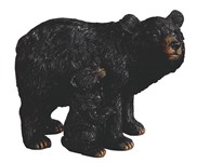 View Bear and Cubs