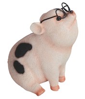 View Pig with Glasses