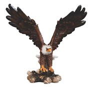 View Eagle Flying Up