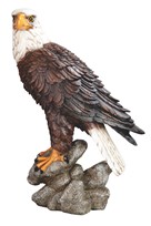 View Eagle Sitting