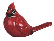 View Cardinal-Male