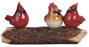 View Cardinal on Branch