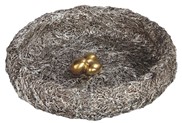 View Display Dish with Bird Eggs
