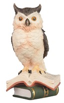 View Owl on Books