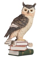 View Owl on Books