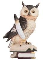 View Owl on Open Book