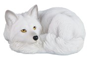 View Wolf Lying down