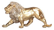 View Lion Walking