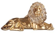 View Lion Laying