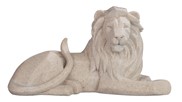 View Lion Laying