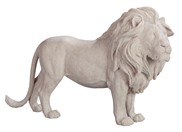 View Lion Standing