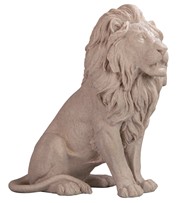 View Lion Sitting