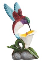 View Hummingbird