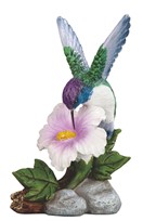 View Hummingbird