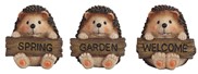 View Hedgehog