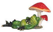 View Frog with Mushroom