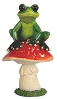 View Frog with Mushroom