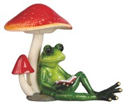 View Frog with Mushroom