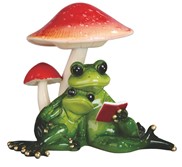 View Frog with Mushroom