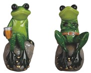View Frog Couple