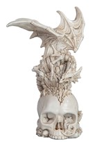 View Dragon on Skull