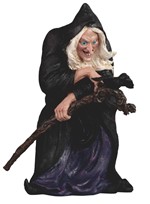 View Witch with Crow
