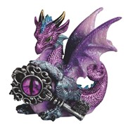 View Dragon