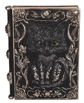 View NoteBook-Cat
