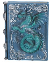 View NoteBook-Dragon