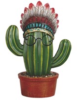 View Cactus with War Bonnet