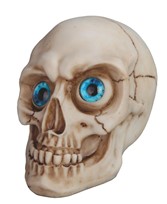View Skull with Blue Eye