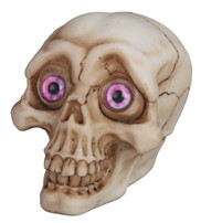 View Skull with Purple Eye