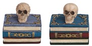 View Skull on Book Trinket Box Set